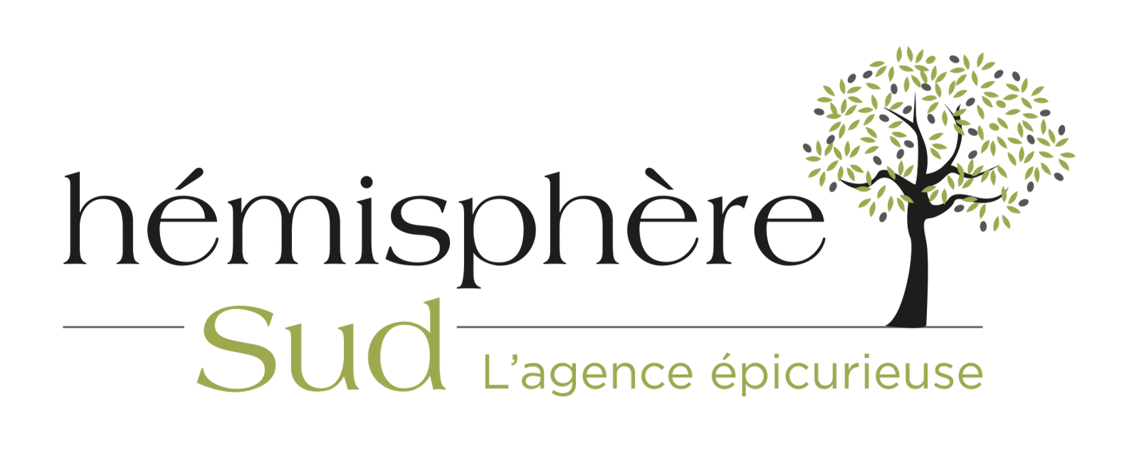 Logo agence hémisphère Sud